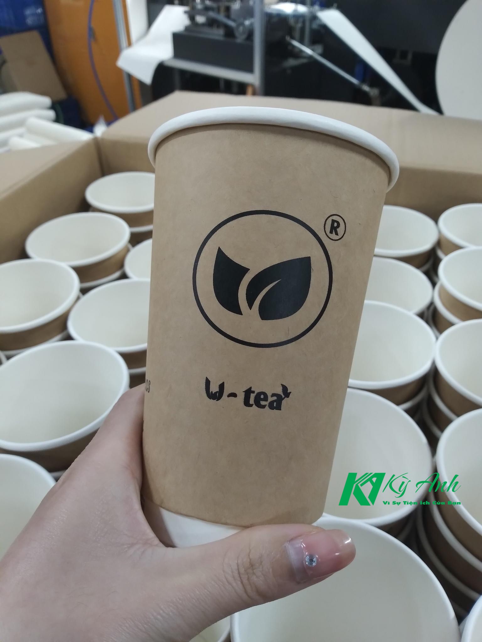 ly giấy kraft