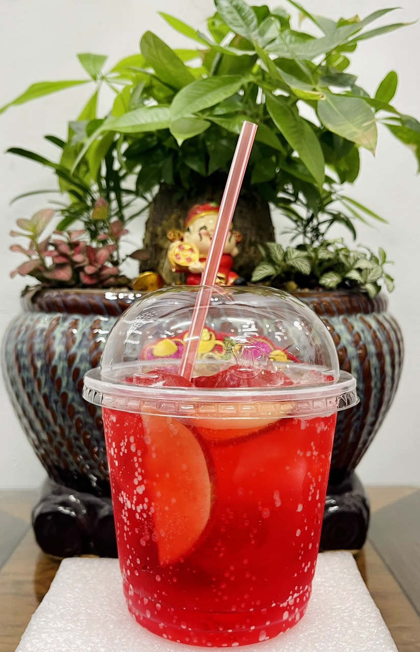 tô nhựa pp nắp cầu